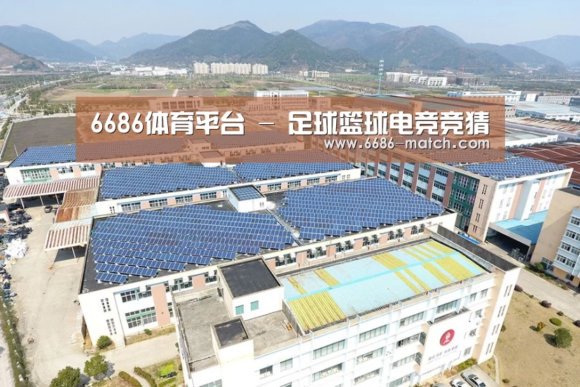 案例展示三