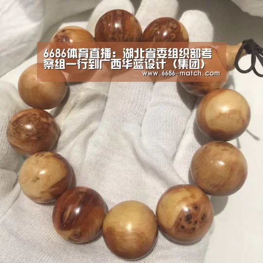 6686体育直播:湖北省委组织部考察组一行到广西华蓝设计(集团)有限公司调研(图1) 6686官网