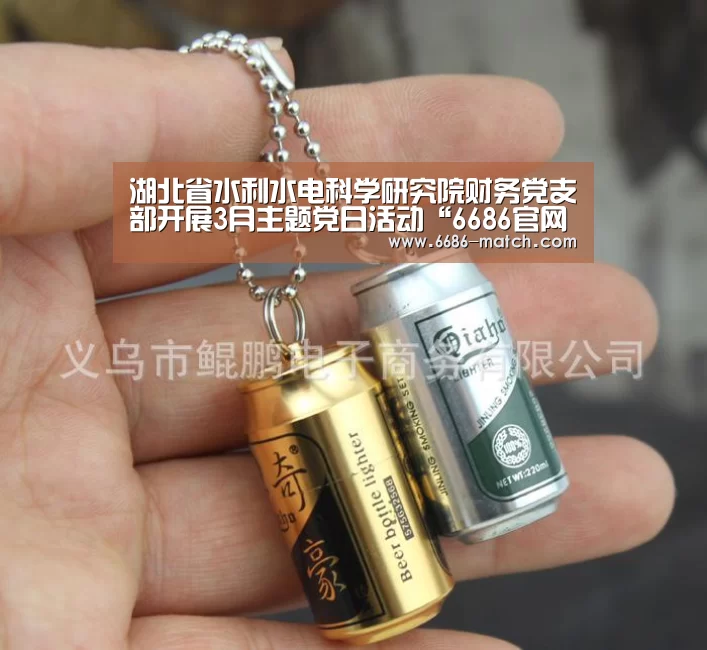 湖北省水利水电科学研究院财务党支部开展3月主题党日活动“6686官网”(图2) 6686官方入口