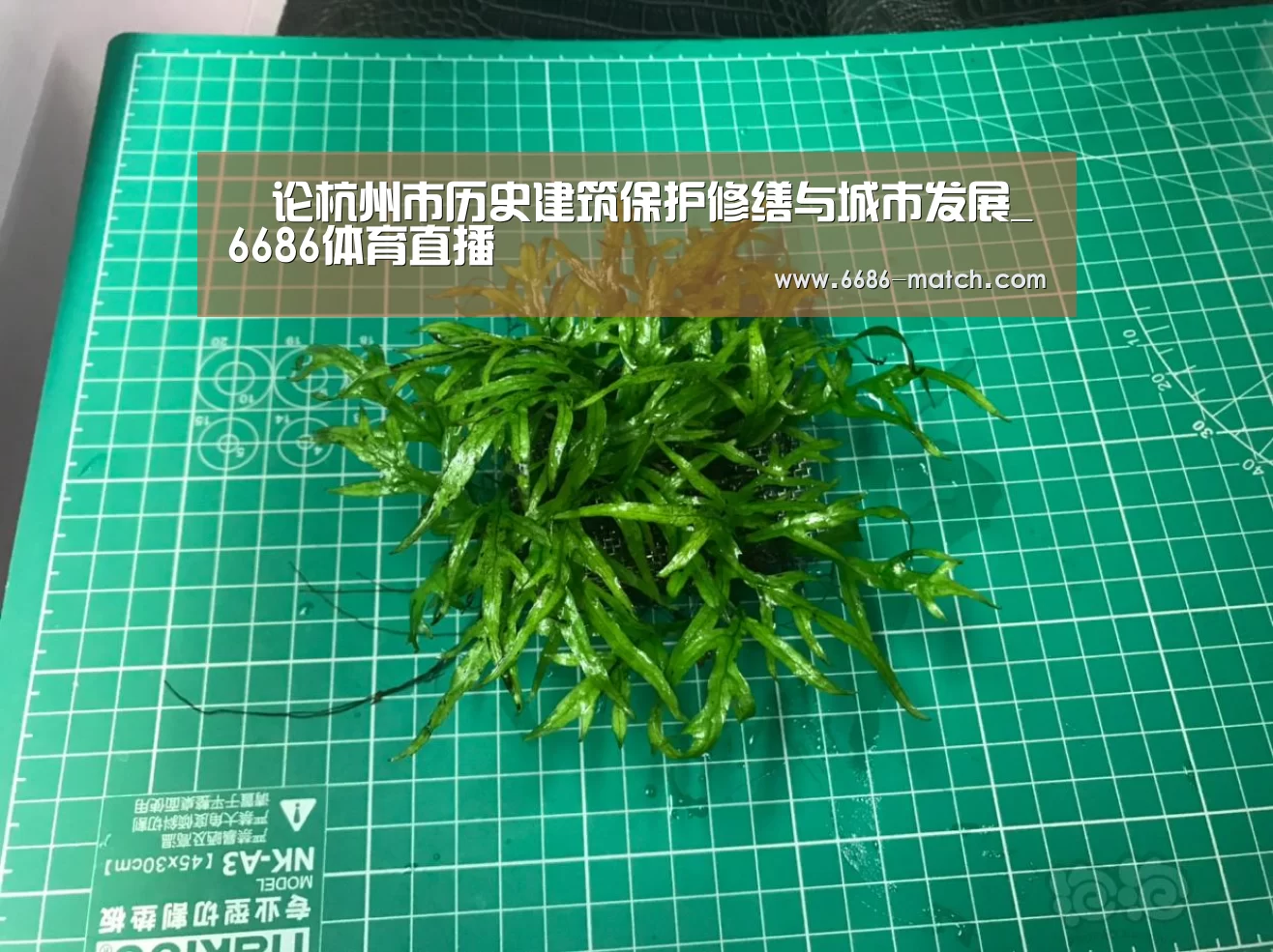 论杭州市历史建筑保护修缮与城市发展_6686体育直播(图4) 6686官方入口
