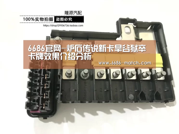 6686官方入口