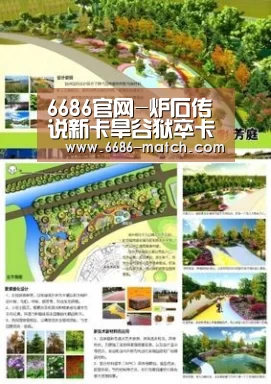 6686官方入口